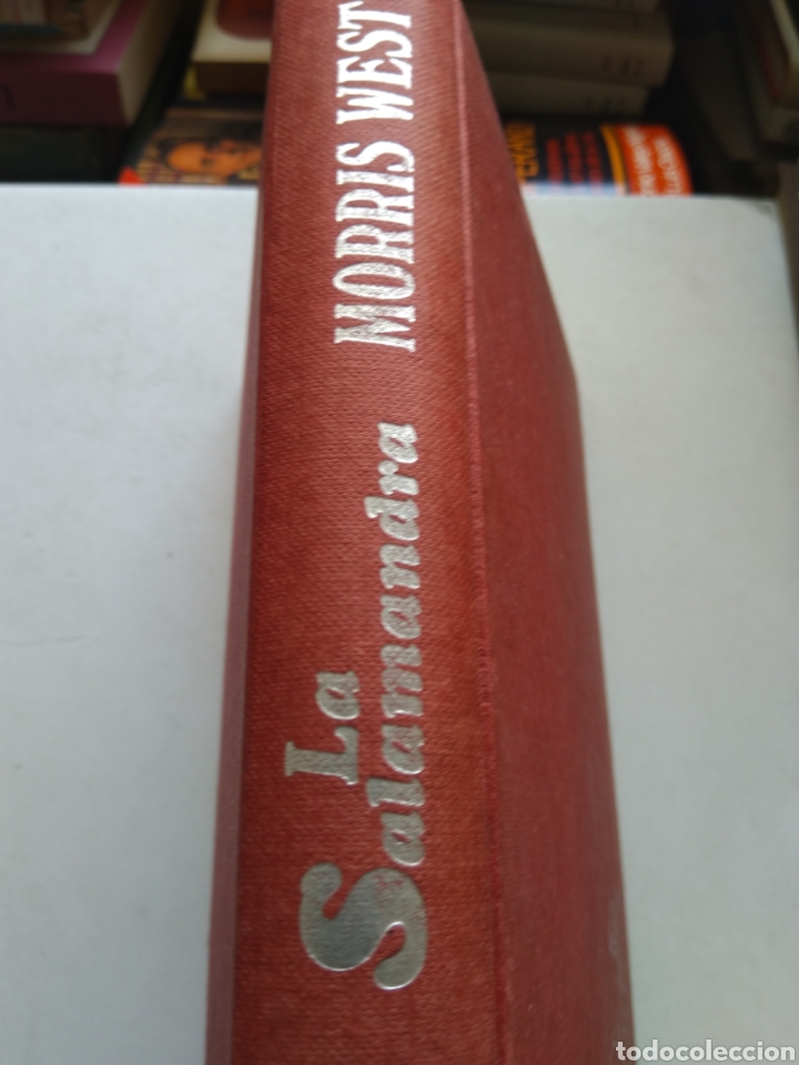 Libros de segunda mano: LA SALAMANDRA/MORRIS WEST - Foto 2