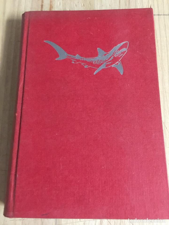 Libros de segunda mano: Tibur&oacute;n - Peter Benchley - Foto 1