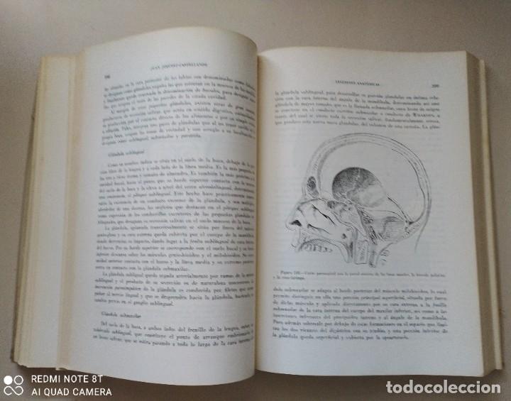Libros de segunda mano: LECCIONES ANAT&Oacute;MICAS 1978 - Foto 5