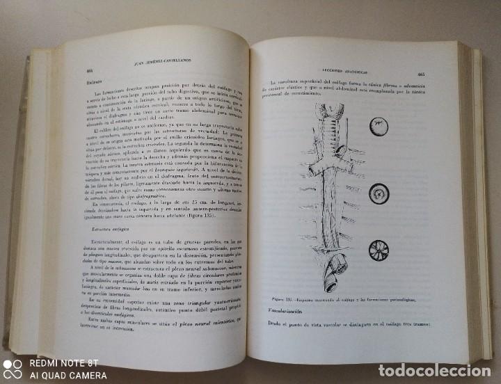 Libros de segunda mano: LECCIONES ANAT&Oacute;MICAS 1978 - Foto 6