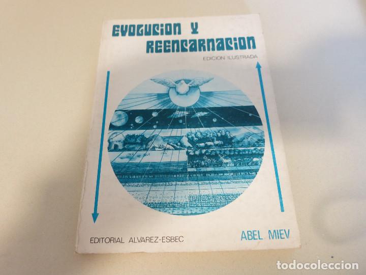 Libros de segunda mano: EVOLUCION Y REENCARNACION - Miev, Abel - Foto 1