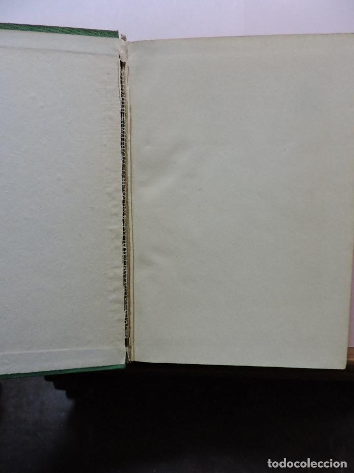 Libros de segunda mano: Madami. PUTNAM, Anne E. Ediciones &Eacute;xito - Foto 3
