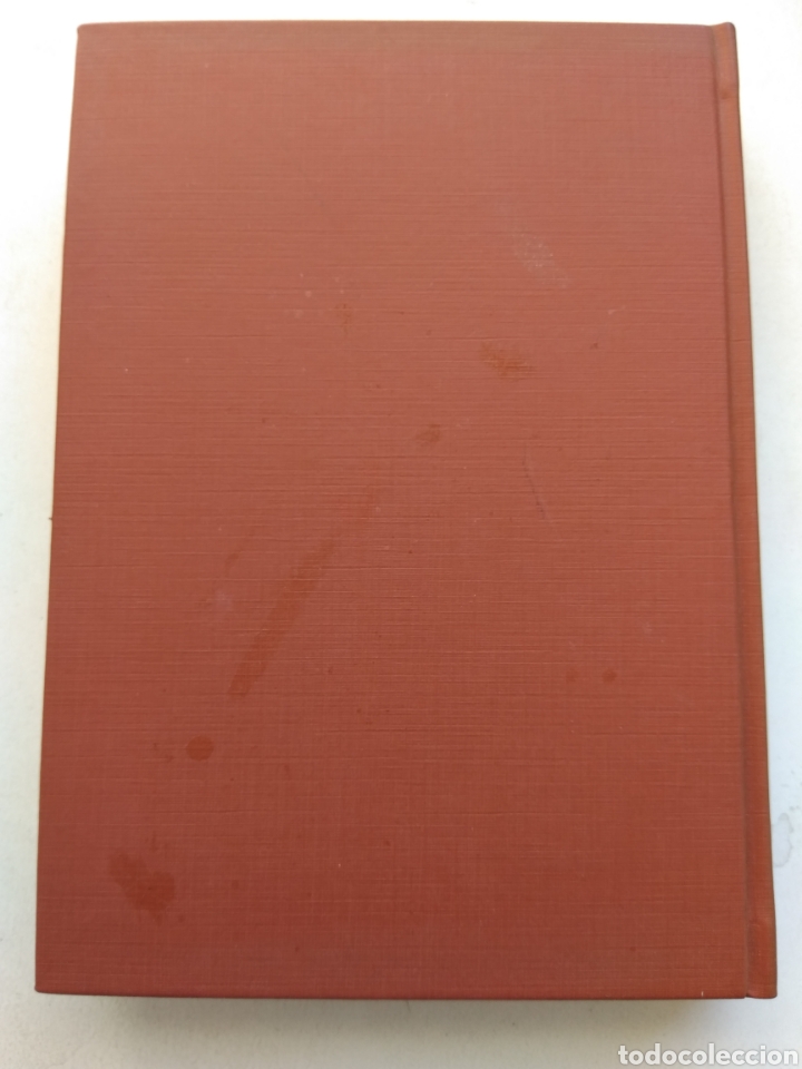 Libros de segunda mano: LA GRAN IMP&Uacute;DICA/PITIGRILLI - Foto 3