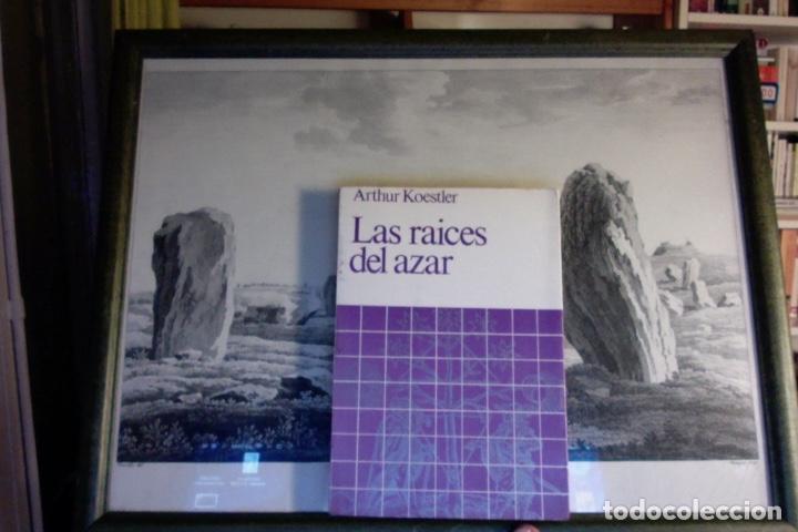 Libros de segunda mano: las raices del azar - Foto 1