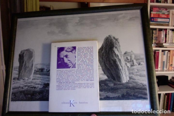 Libros de segunda mano: las raices del azar - Foto 2
