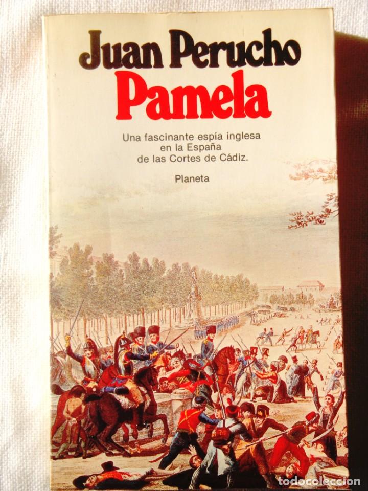 Gebrauchte B&uuml;cher: JUAN PERUCHO: PAMELA