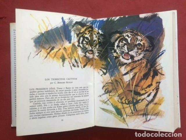 Libros de segunda mano: EL GRAN LIBRO DE LAS FIERAS - Foto 3