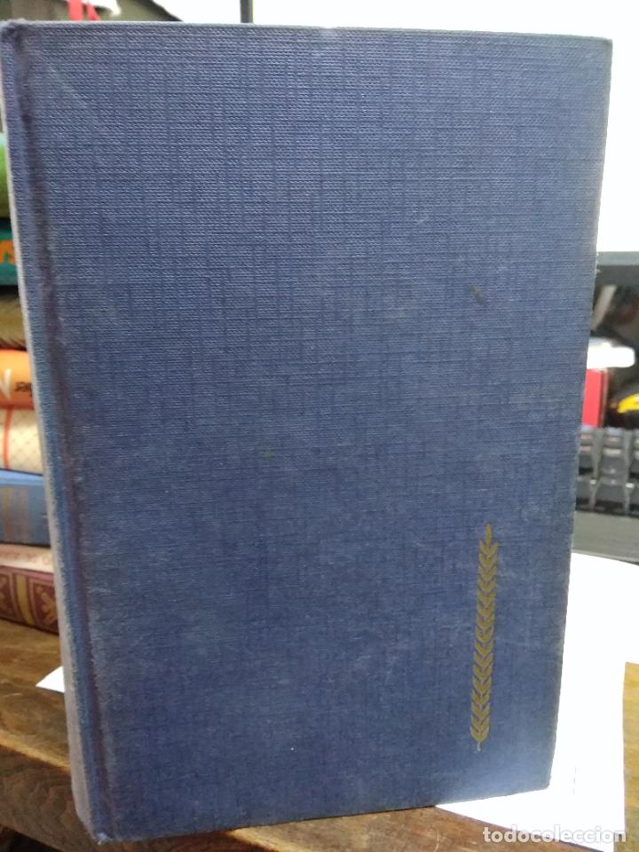 Libros de segunda mano: Armageddon, Leon Uris. L.28143 - Foto 1