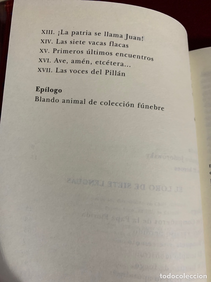 Libros de segunda mano: El loro de siete lenguas. Alejandro Jodorowsky. - Foto 5