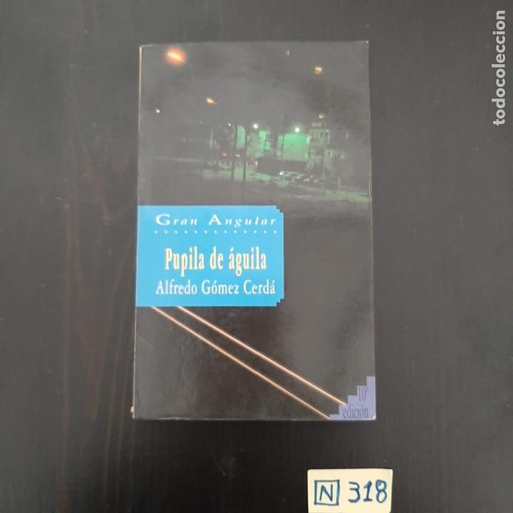 Libros de segunda mano: Pupila de &Aacute;guila - Foto 1