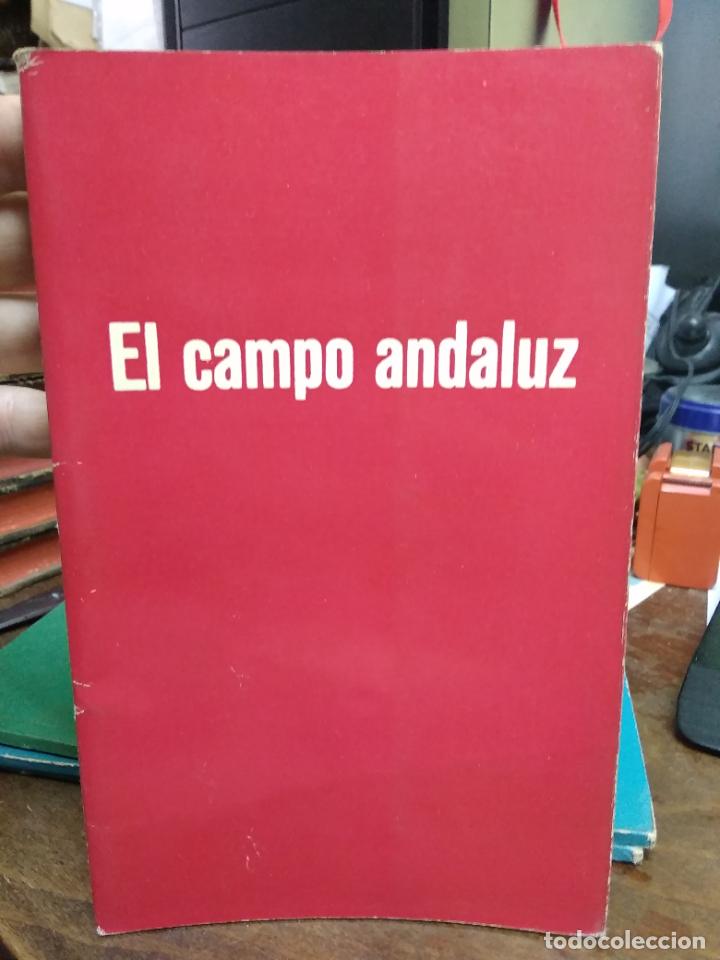 Libri di seconda mano: El campo andaluz. L.11649-1880