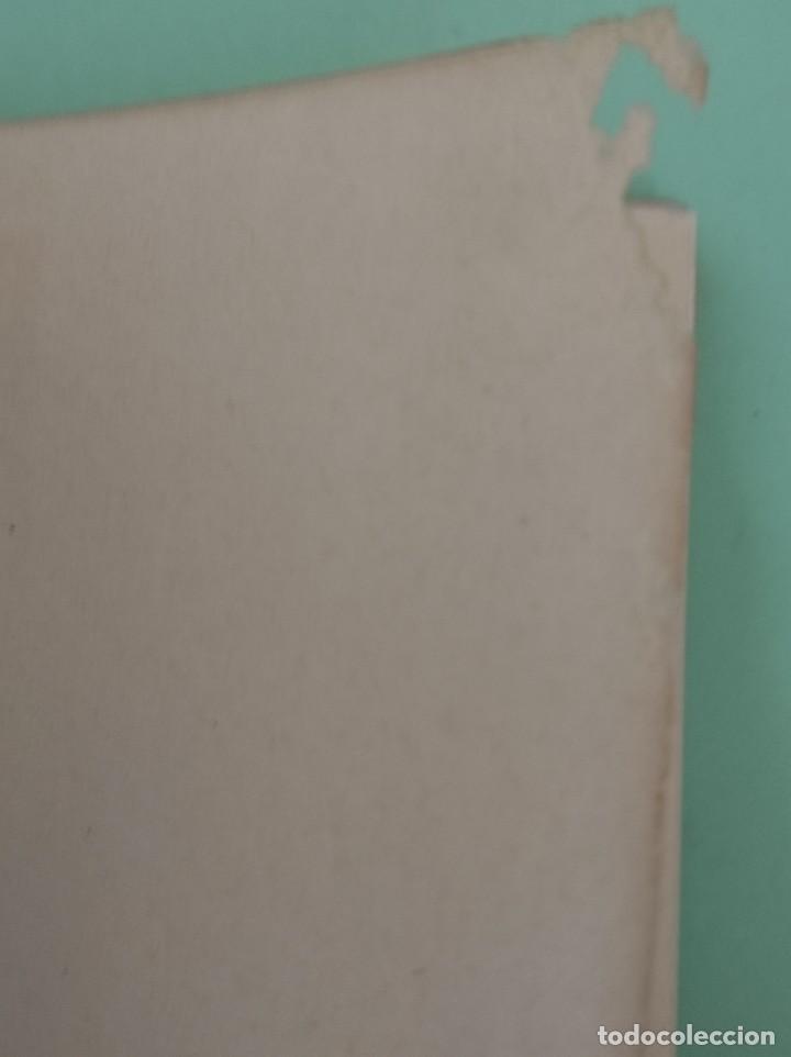 Libros de segunda mano: INSTINTO B&Aacute;SICO - Osborne, Richard - Foto 2