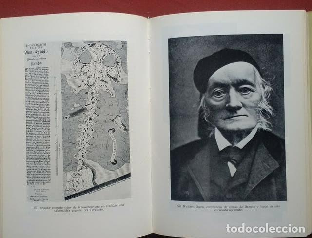 Libros de segunda mano: ANTES DEL DILUVIO - HERBERT WENDT. - Foto 3