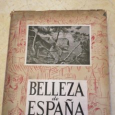 Libros de segunda mano: LIBRO BELLEZA DE ESPAÑA