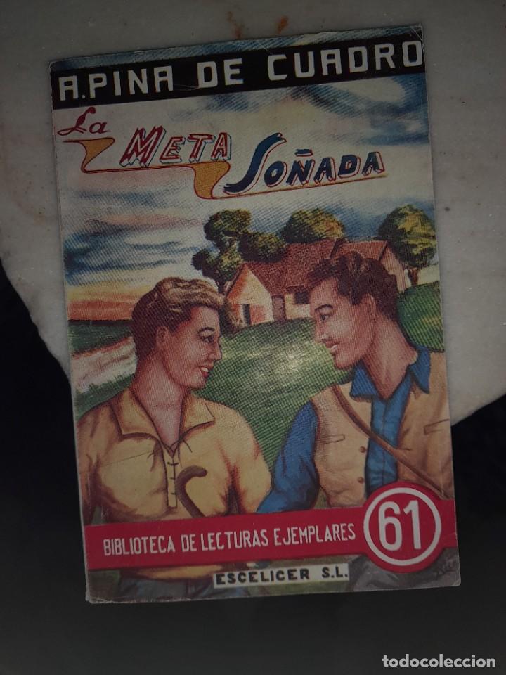 Libros de segunda mano: Libro Mera so&ntilde;ada Amelia pina de cuadro