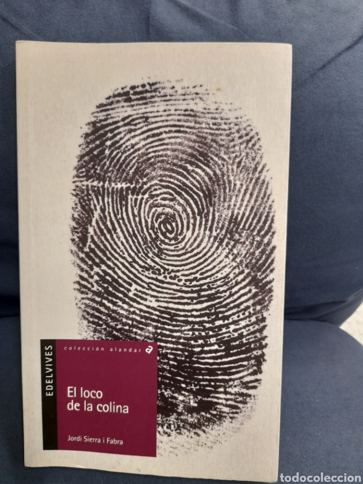 Libros de segunda mano: El loco de la Colina - Foto 1
