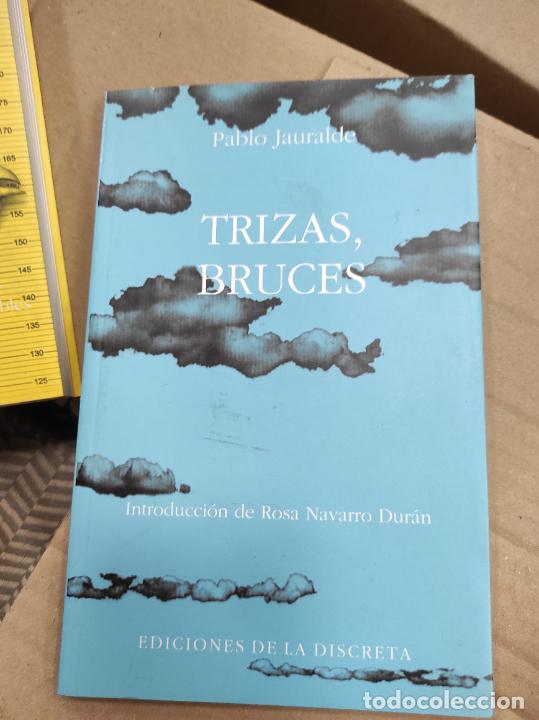 Libros de segunda mano: TRIZAS, BRUCES - PABLO JAURALDE - Foto 1