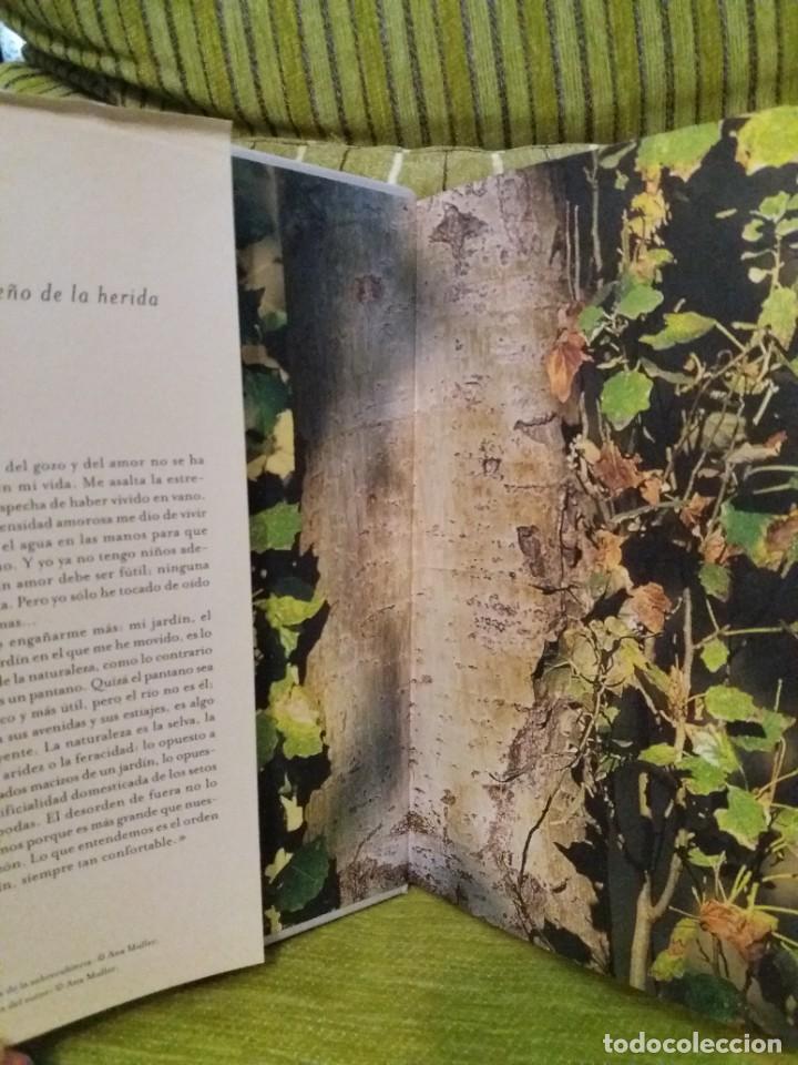 Libros de segunda mano: EL DUE&Ntilde;O DE LA HERIDA - Foto 4