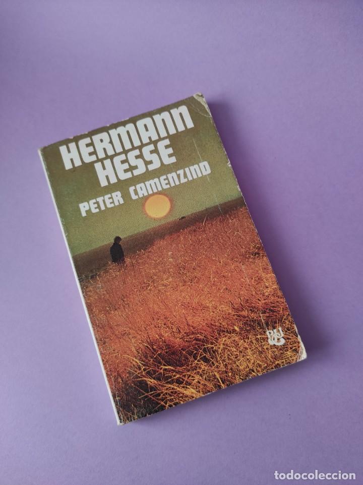 Libros de segunda mano: PETER CAMENZIND - Hermann Hesse - Foto 1