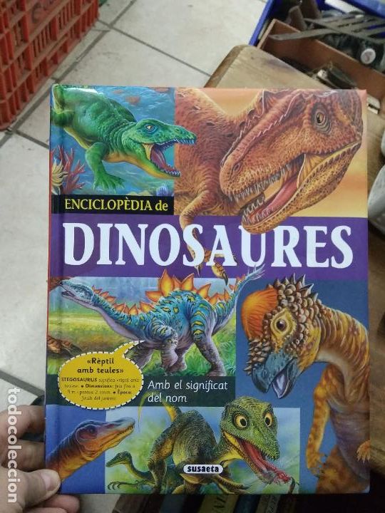 Libros de segunda mano: Enciclop&egrave;dia de dinosaures, Ed Susaeta. En valenciano. ART.548-1344