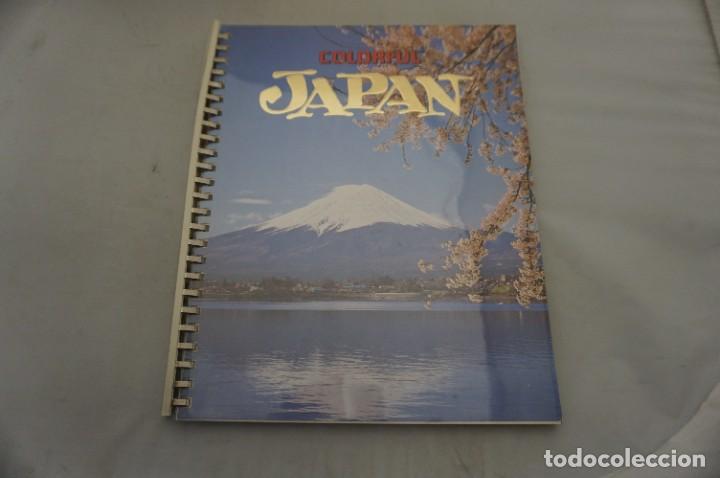 Libros de segunda mano: 6B/ COLORFULL JAPAN - Foto 1