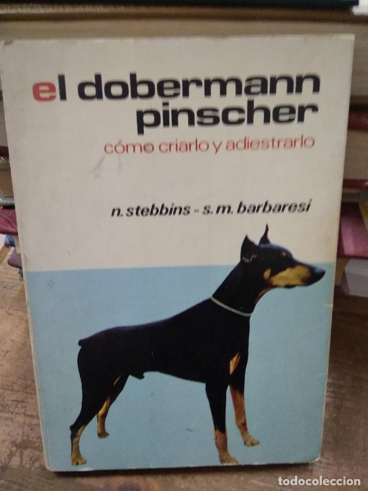 Livres d'occasion: El dobermann pinscher, N. Stebbins y S. M. Barbaresi. L.17332-718