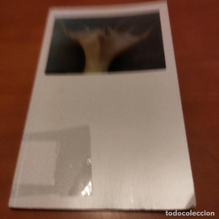Libros de segunda mano: Espacios Transl&uacute;cidos - Foto 1