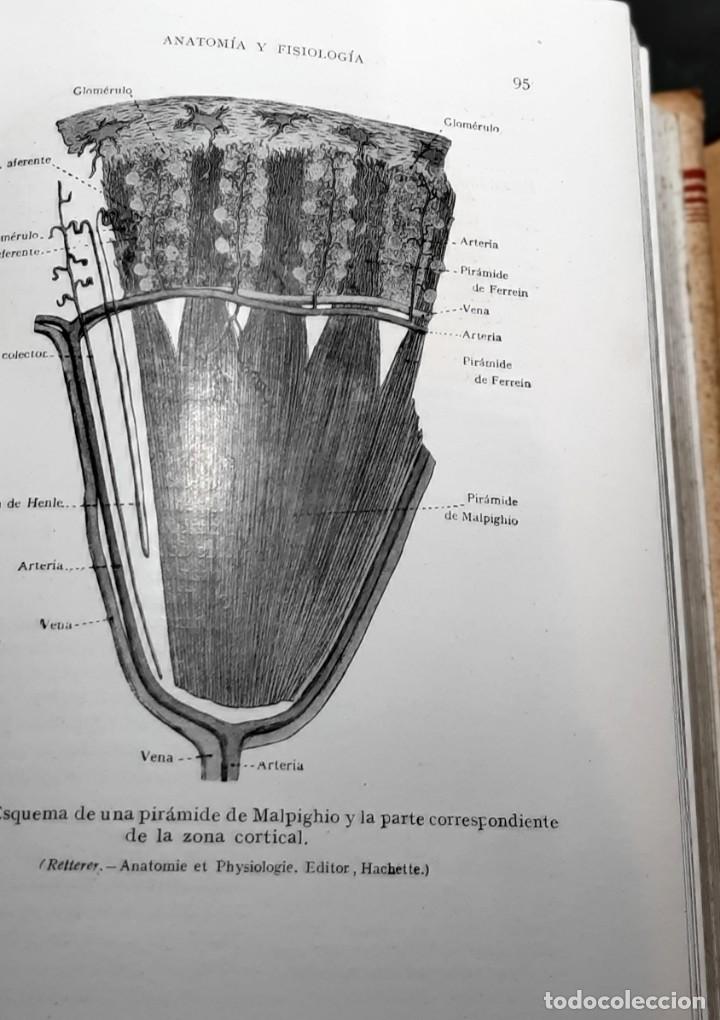 Libros de segunda mano: Manual de la enfermera. 1950 - Foto 6