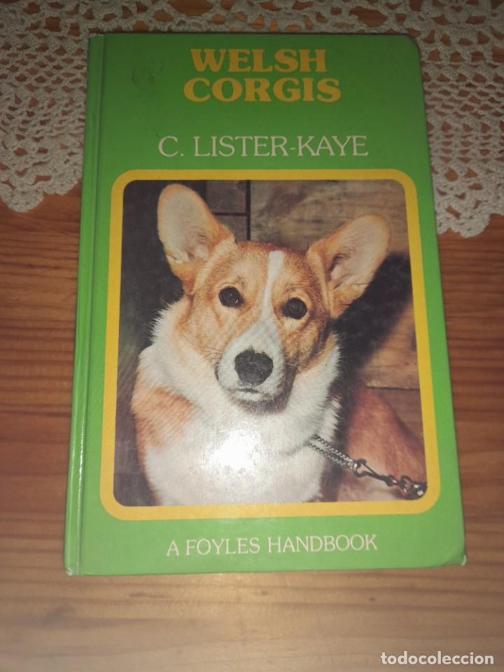 Livros em segunda m&atilde;o: Libro Welsh corgis c. Lister kaye a foyles handbook