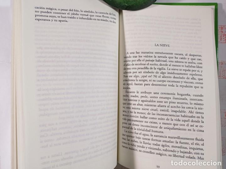 Libros de segunda mano: Ocnos. Luis Cernuda - Foto 4