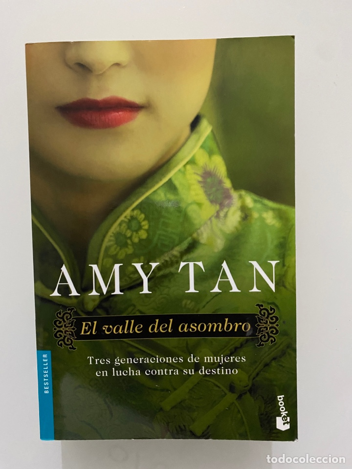 Libros de segunda mano: El valle del asombro - TAN, Amy - Foto 1