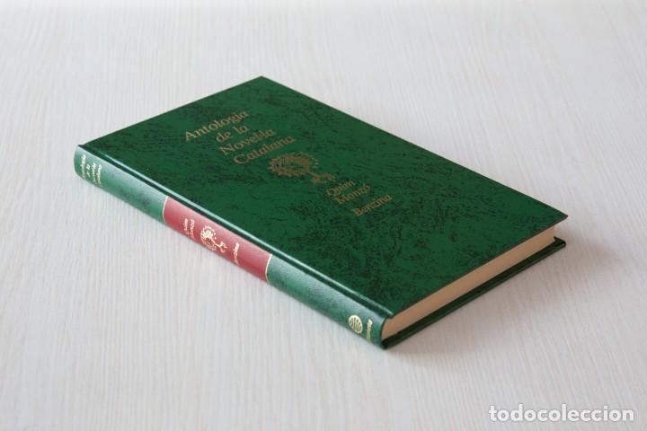 Libros de segunda mano: Benzina. Quim Monz&oacute;. - Foto 2