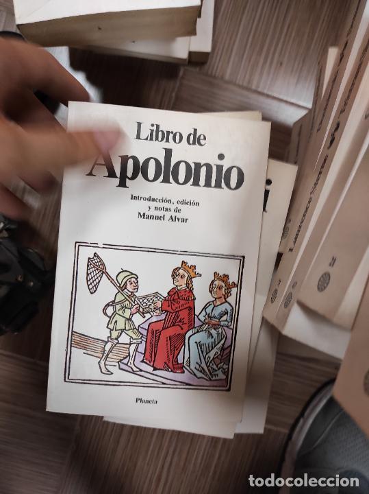 Libros de segunda mano: LIBRO DE APOLONIO MANUEL ALVAR - Foto 1