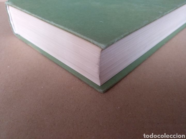 Libros de segunda mano: Mujerc&iacute;simas. Terenci Moix. Editorial planeta. Libro - Foto 8