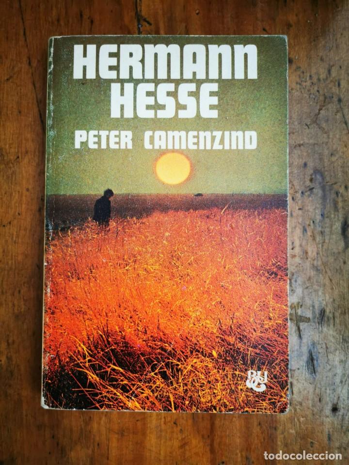 Libros de segunda mano: HESSE, Hermann. Peter Camenzind - Foto 1