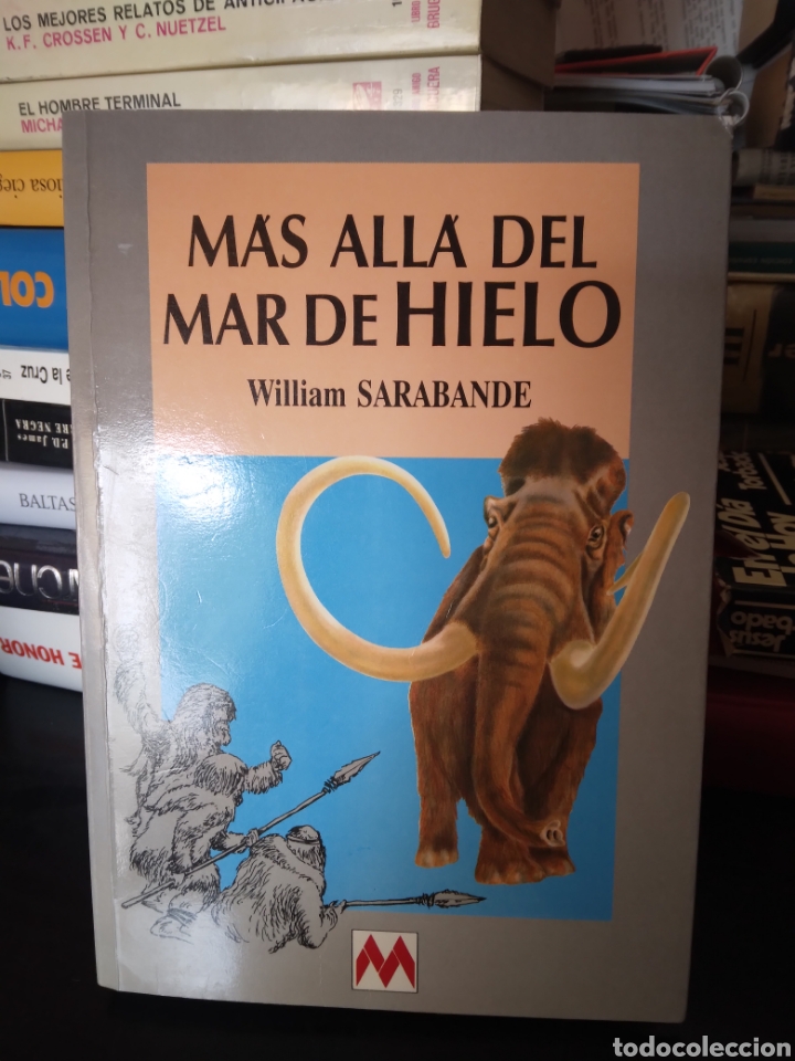 Libros de segunda mano: M&aacute;s all&aacute; del mar de hielo - Foto 1