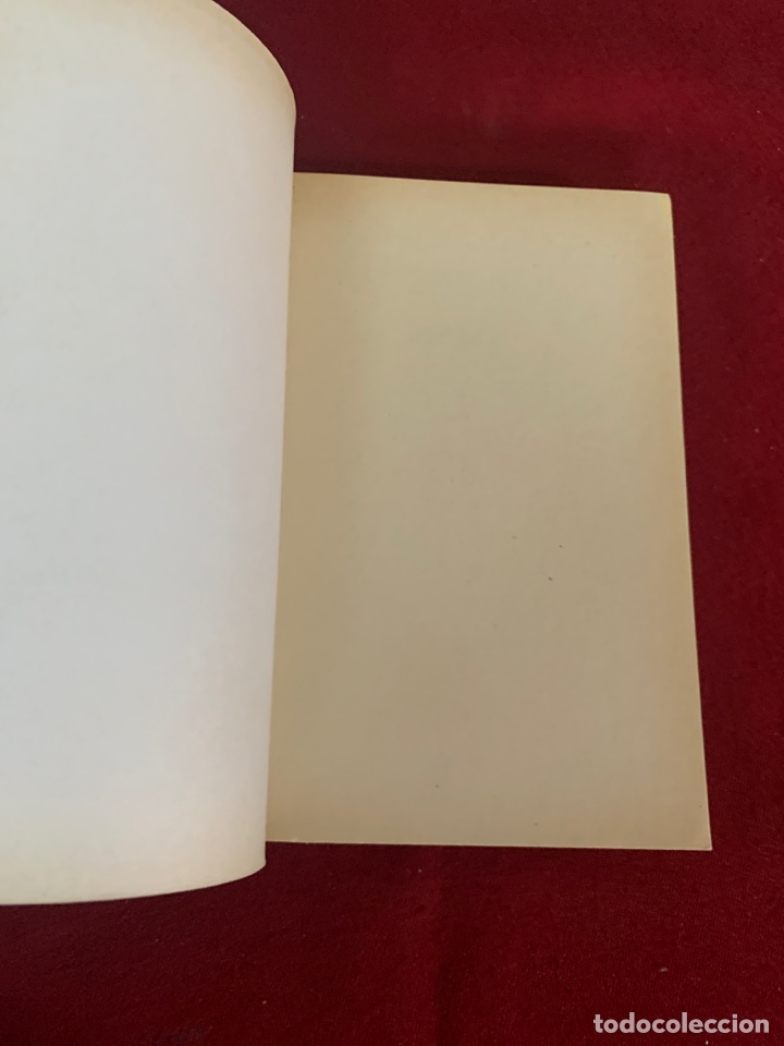 Libros de segunda mano: Niebla. Miguel de Unamuno. - Foto 3