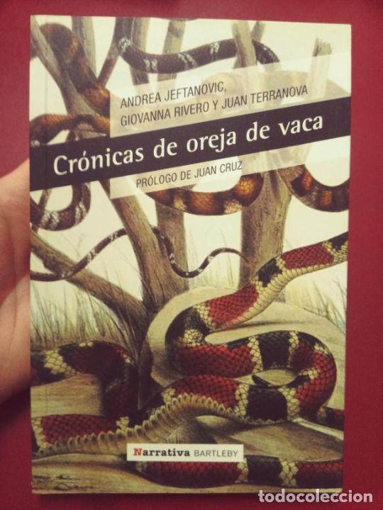 Libros de segunda mano: Andrea Jeftanovic, Giovanna Rivero, Juan Terranova: Cr&oacute;nicas de oreja de vaca