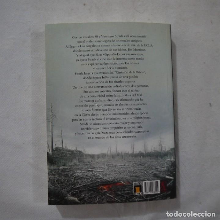 Libros de segunda mano: EL C&Oacute;DICE DE LAS BRUJAS - V&Iacute;CTOR CONDE - DOLMEN EDITORIAL - 2015 - Foto 8