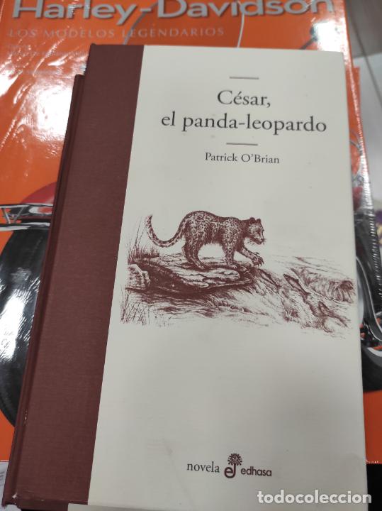 Libros de segunda mano: OBrian, Patrick - C&eacute;sar, el panda-leopardo - Foto 1