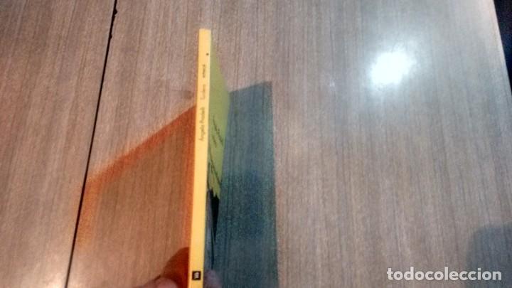 Libros de segunda mano: ANGELA PRADELLI - TURDERA - - Foto 2