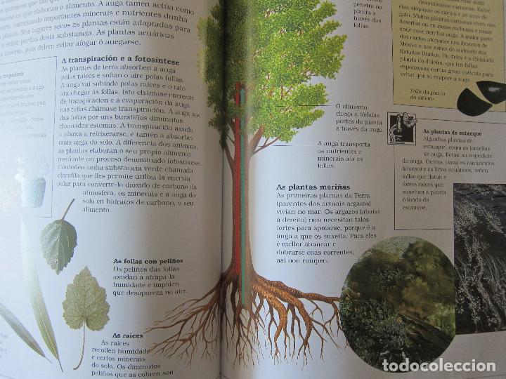 Libros de segunda mano: AIRE, AUGA, CALOR E ENERX&Iacute;A (XEIRAS) - Foto 2