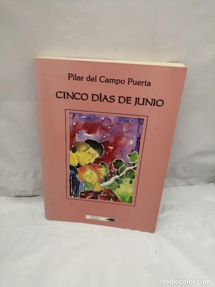 Libros de segunda mano: CINCO D&Iacute;AS DE JUNIO (PRIMERA EDICI&Oacute;N) - Foto 1