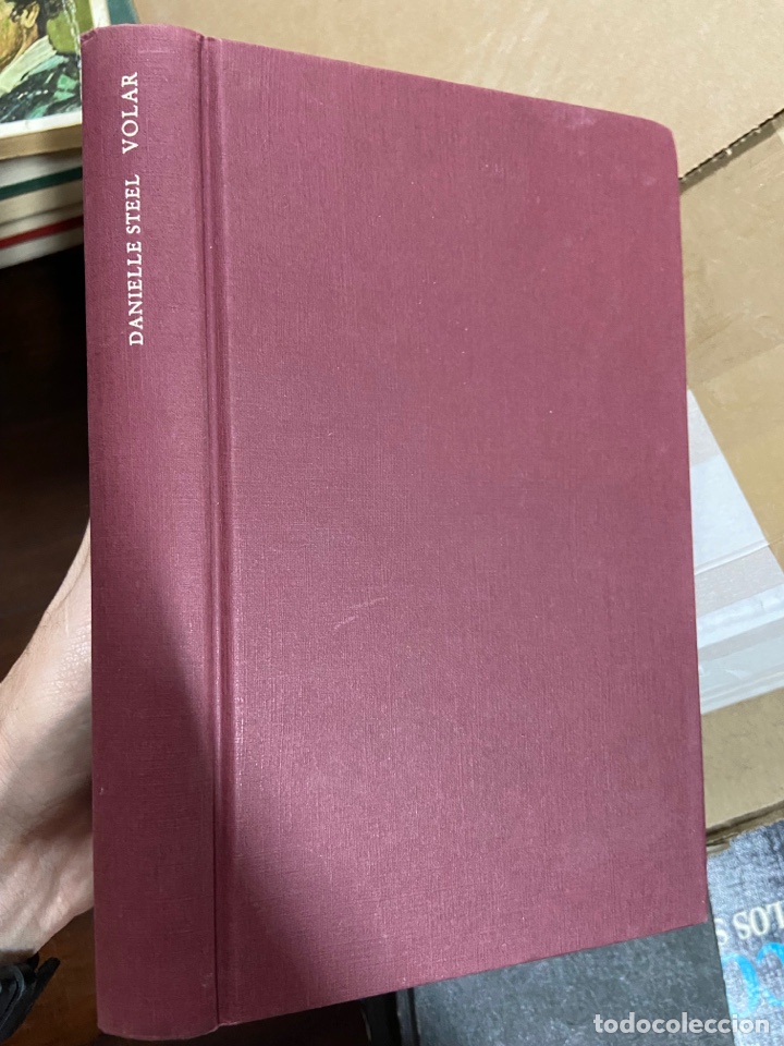 Libros de segunda mano: Danielle Steel: volar - Foto 1