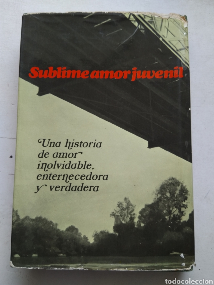 Libros de segunda mano: SUBLIME AMOR JUVENIL/HERMAN RAUCHER - Foto 3