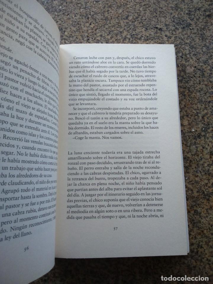 Libros de segunda mano: INTEMPERIE -- JESUS CARRASCO -- CIRCULO 2013 -- - Foto 3
