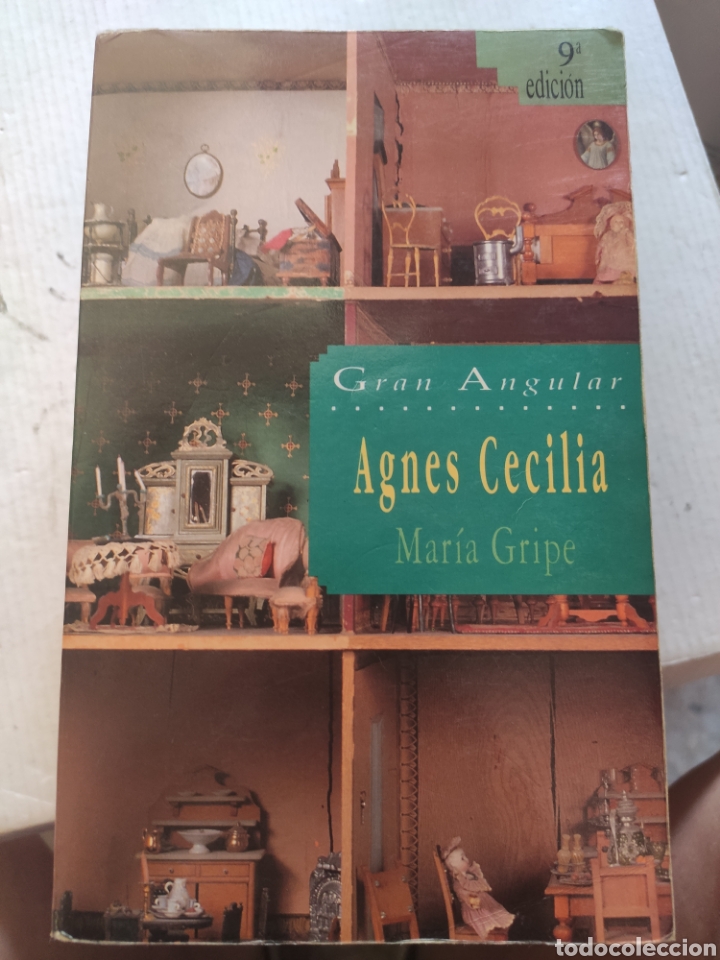 Libros de segunda mano: AGNES CECILIA. MARIA GRIPE. GRAN ANGULAR 1992 - Foto 1