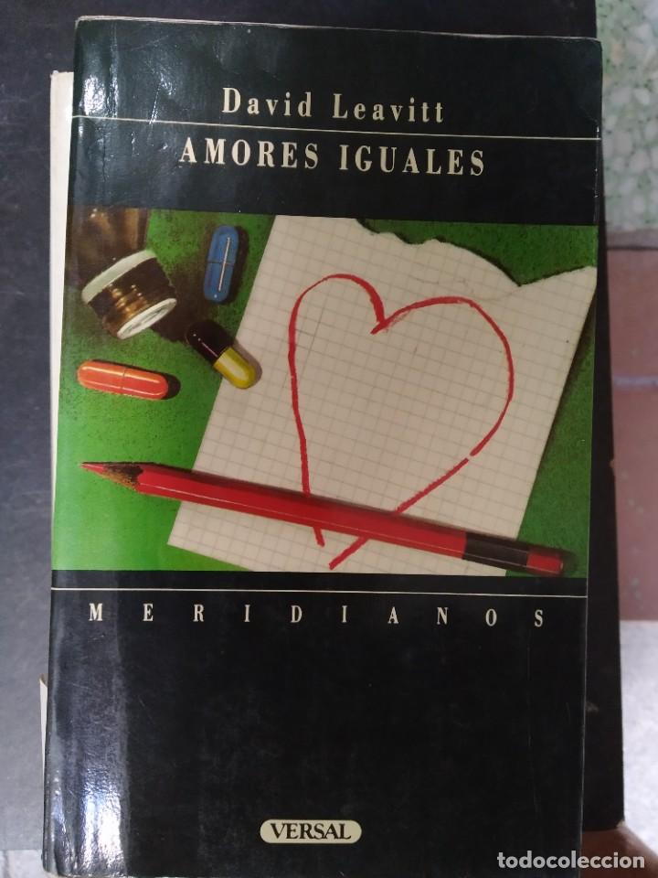 Libros de segunda mano: David Leavitt - Amores Iguales - Foto 1