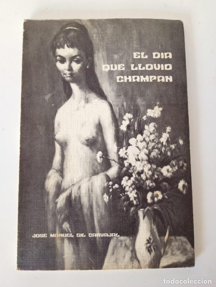 Libro El d&iacute;a que llovi&oacute; champan, &Uacute;beda 1985
