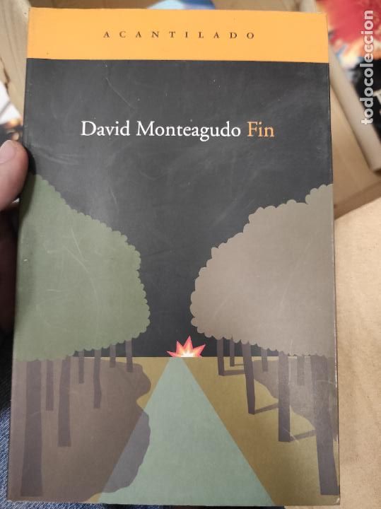 Libros de segunda mano: David Monteagudo - Fin - Acantilado - Foto 1